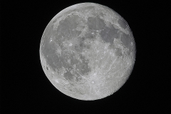 Mond über Dresden, 11.06.2017, 00:08 Uhr // Olympus OM-D E-M1 - 600 mm - f8.0 - ISO200 - 1/200 s
