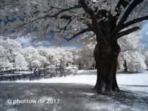 Infrarotfotografie – Grundlagen